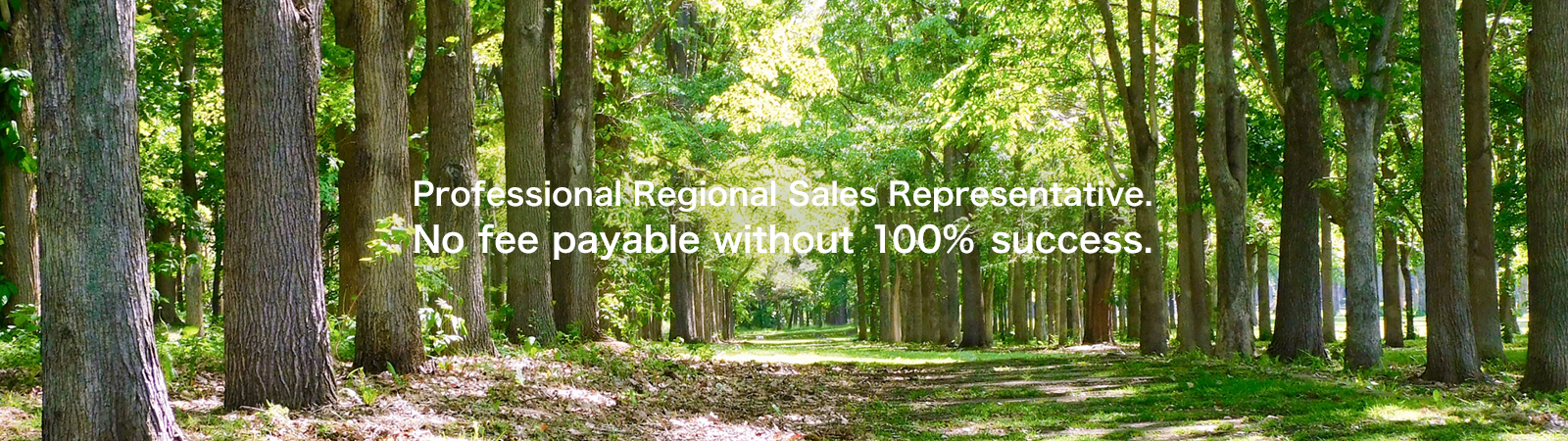 Professional Regional Sales Representative. No fee payable without 100% success.