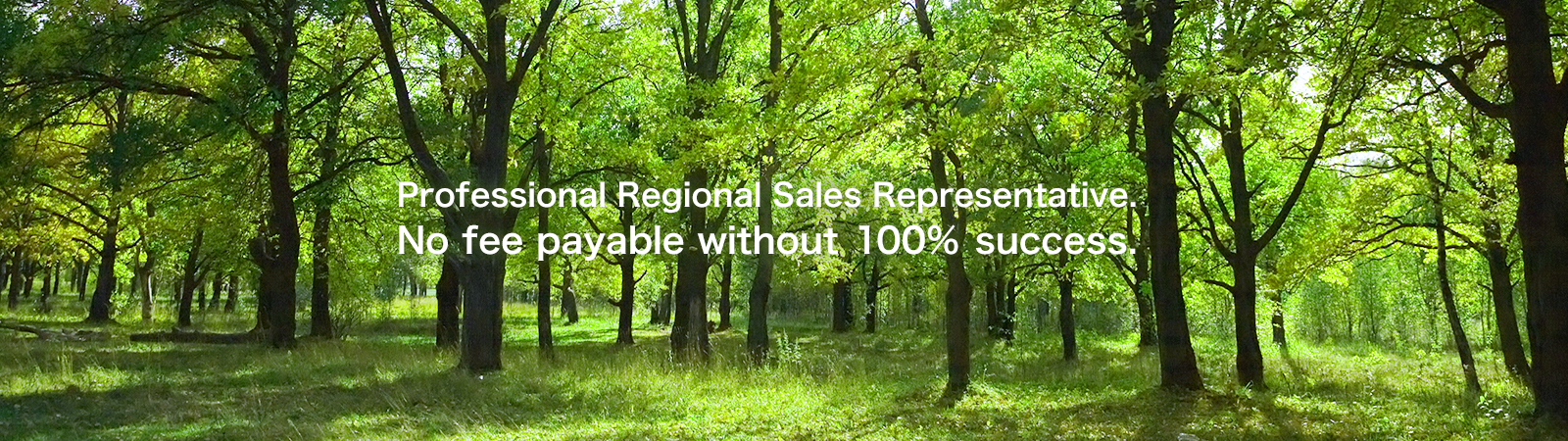 Professional Regional Sales Representative. No fee payable without 100% success.