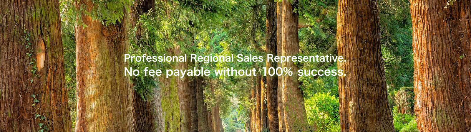 Professional Regional Sales Representative. No fee payable without 100% success.